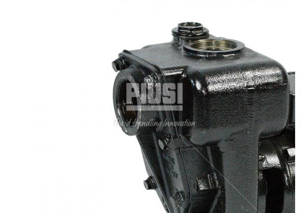Насос для перекачки Дизельного топлива PIUSI Е-300 (220В, 550 л/мин)