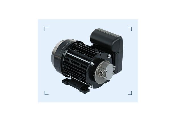 Насос для перекачки масла Garda5 NALA MOTORS (220В, 10л/мин)